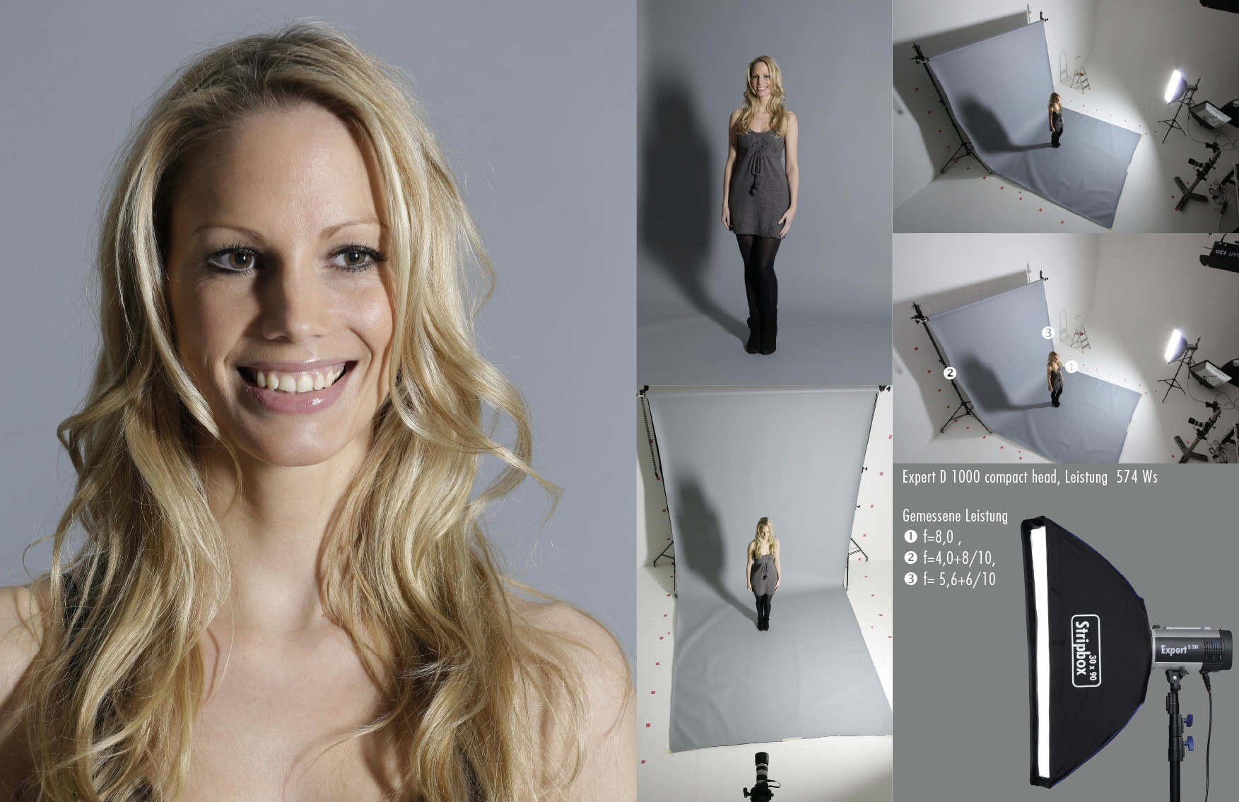 4190039 Softbox 30 x 90 cm – Bild 2